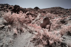 INFRARED_ANZA_BORREGO_695_NOV_24_2019-1_FINAL_10
