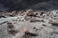 INFRARED_ANZA_BORREGO_695_DEC_01_2019-15_FINAL_10