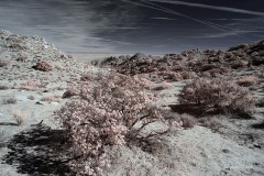 INFRARED_ANZA_BORREGO_695_DEC_01_2019-17_FINAL_10