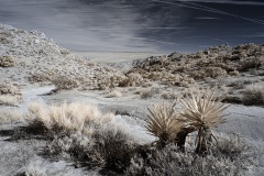 INFRARED_ANZA_BORREGO_695_DEC_01_2019-18_FINAL_06