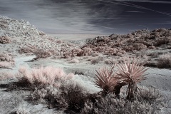INFRARED_ANZA_BORREGO_695_DEC_01_2019-18_FINAL_10