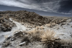INFRARED_ANZA_BORREGO_695_DEC_01_2019-19_FINAL_06