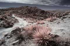 INFRARED_ANZA_BORREGO_695_DEC_01_2019-20_FINAL_10
