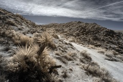 INFRARED_ANZA_BORREGO_695_DEC_01_2019-22_FINAL_06