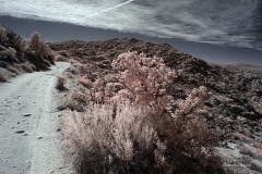 INFRARED_ANZA_BORREGO_695_DEC_01_2019-23_FINAL_10