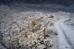 INFRARED_ANZA_BORREGO_695_DEC_01_2019-24_FINAL_06