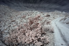 INFRARED_ANZA_BORREGO_695_DEC_01_2019-24_FINAL_10