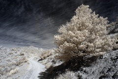 INFRARED_ANZA_BORREGO_695_DEC_01_2019-25_FINAL_06