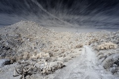 INFRARED_ANZA_BORREGO_695_DEC_01_2019-26_FINAL_06