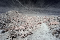 INFRARED_ANZA_BORREGO_695_DEC_01_2019-26_FINAL_10