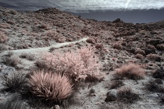 INFRARED_ANZA_BORREGO_695_DEC_01_2019-30_FINAL_10