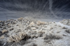 INFRARED_ANZA_BORREGO_695_DEC_01_2019-31_FINAL_06