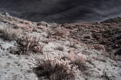 INFRARED_ANZA_BORREGO_695_DEC_01_2019-32_FINAL_10