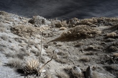 INFRARED_ANZA_BORREGO_695_DEC_01_2019-34_FINAL_06