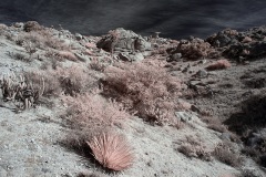 INFRARED_ANZA_BORREGO_695_DEC_01_2019-35_FINAL_10
