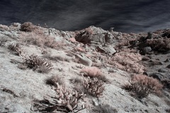 INFRARED_ANZA_BORREGO_695_DEC_01_2019-36_FINAL_10