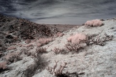 INFRARED_ANZA_BORREGO_695_DEC_01_2019-37_FINAL_10