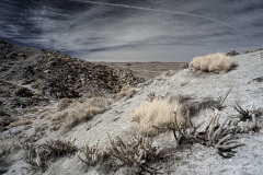 INFRARED_ANZA_BORREGO_695_DEC_01_2019-39_FINAL_06