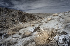 INFRARED_ANZA_BORREGO_695_DEC_01_2019-40_FINAL_06