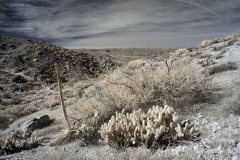 INFRARED_ANZA_BORREGO_695_DEC_01_2019-41_FINAL_06