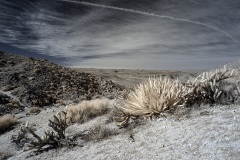 INFRARED_ANZA_BORREGO_695_DEC_01_2019-42_FINAL_06