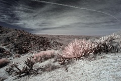 INFRARED_ANZA_BORREGO_695_DEC_01_2019-42_FINAL_10