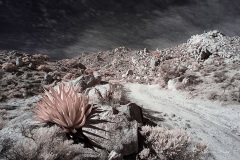 INFRARED_ANZA_BORREGO_695_DEC_01_2019-4_FINAL_10