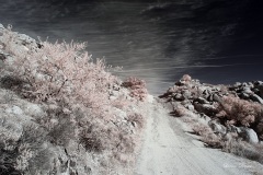 INFRARED_ANZA_BORREGO_695_DEC_01_2019-9_FINAL_10