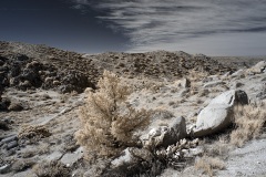 INFRARED_ANZA_BORREGO_695_DEC_01_2019-101_FINAL_06