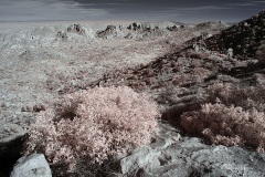 INFRARED_ANZA_BORREGO_695_DEC_01_2019-120_FINAL_10