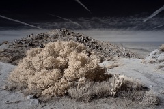 INFRARED_ANZA_BORREGO_695_DEC_01_2019-130_FINAL_06