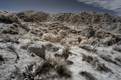 INFRARED_ANZA_BORREGO_695_DEC_01_2019-75_FINAL_06
