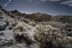 INFRARED_ANZA_BORREGO_695_DEC_01_2019-85_FINAL_06