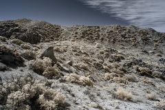INFRARED_ANZA_BORREGO_695_DEC_01_2019-88_FINAL_06