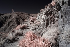 INFRARED_ANZA_BORREGO_695_NOV_24_2019-23_FINAL_10