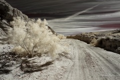 INFRARED_ANZA_BORREGO_720_MAR_03_2019-77_FINAL_01