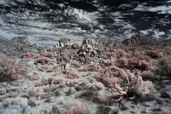 INFRARED_ANZA_BORREGO_NOV_02_2019_695-113_FINAL_10