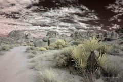 INFRARED_ANZA_BORREGO_NOV_02_2019_695-145_FINAL_08S
