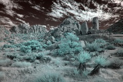 INFRARED_ANZA_BORREGO_NOV_02_2019_695-163_FINAL_03S