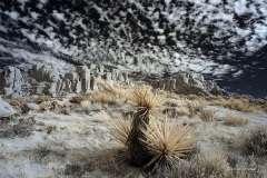 INFRARED_ANZA_BORREGO_NOV_02_2019_695-192_FINAL_06