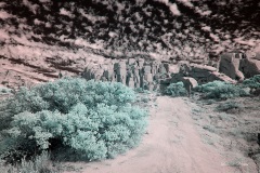 INFRARED_ANZA_BORREGO_NOV_02_2019_695-203_FINAL_03S