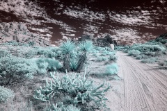 INFRARED_ANZA_BORREGO_NOV_02_2019_695-222_FINAL_03S