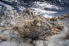 INFRARED_ANZA_BORREGO_NOV_02_2019_695-232_FINAL_06