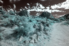 INFRARED_ANZA_BORREGO_NOV_02_2019_695-28_FINAL_03S