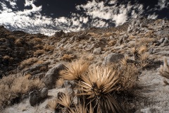 INFRARED_ANZA_BORREGO_NOV_02_2019_695-44_FINAL_06