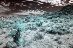 INFRARED_ANZA_BORREGO_NOV_02_2019_695-71_FINAL_03S