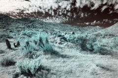 INFRARED_ANZA_BORREGO_NOV_02_2019_695-91_FINAL_03S