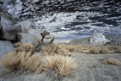 INFRARED_ANZA_BORREGO_NOV_02_2019_695-241_FINAL_06