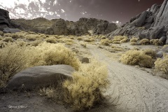INFRARED_ANZA_BORREGO_NOV_02_2019_695-251_FINAL_08S