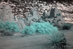 INFRARED_ANZA_BORREGO_NOV_02_2019_695-255_FINAL_03S